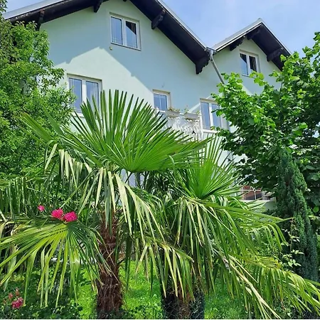 アパートホテル Smestaj Novakovic ,zdrelo 3*