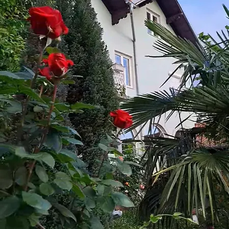 Smestaj Novakovic ,zdrelo Ždrelo