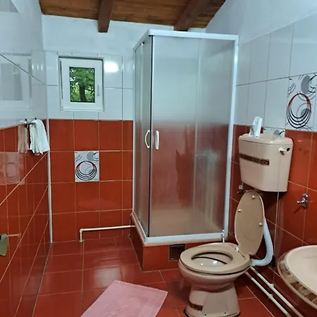 アパートホテル Smestaj Novakovic ,zdrelo Ždrelo