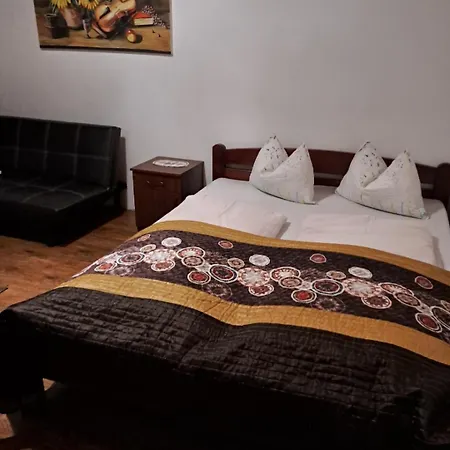 アパートホテル Smestaj Novakovic ,zdrelo